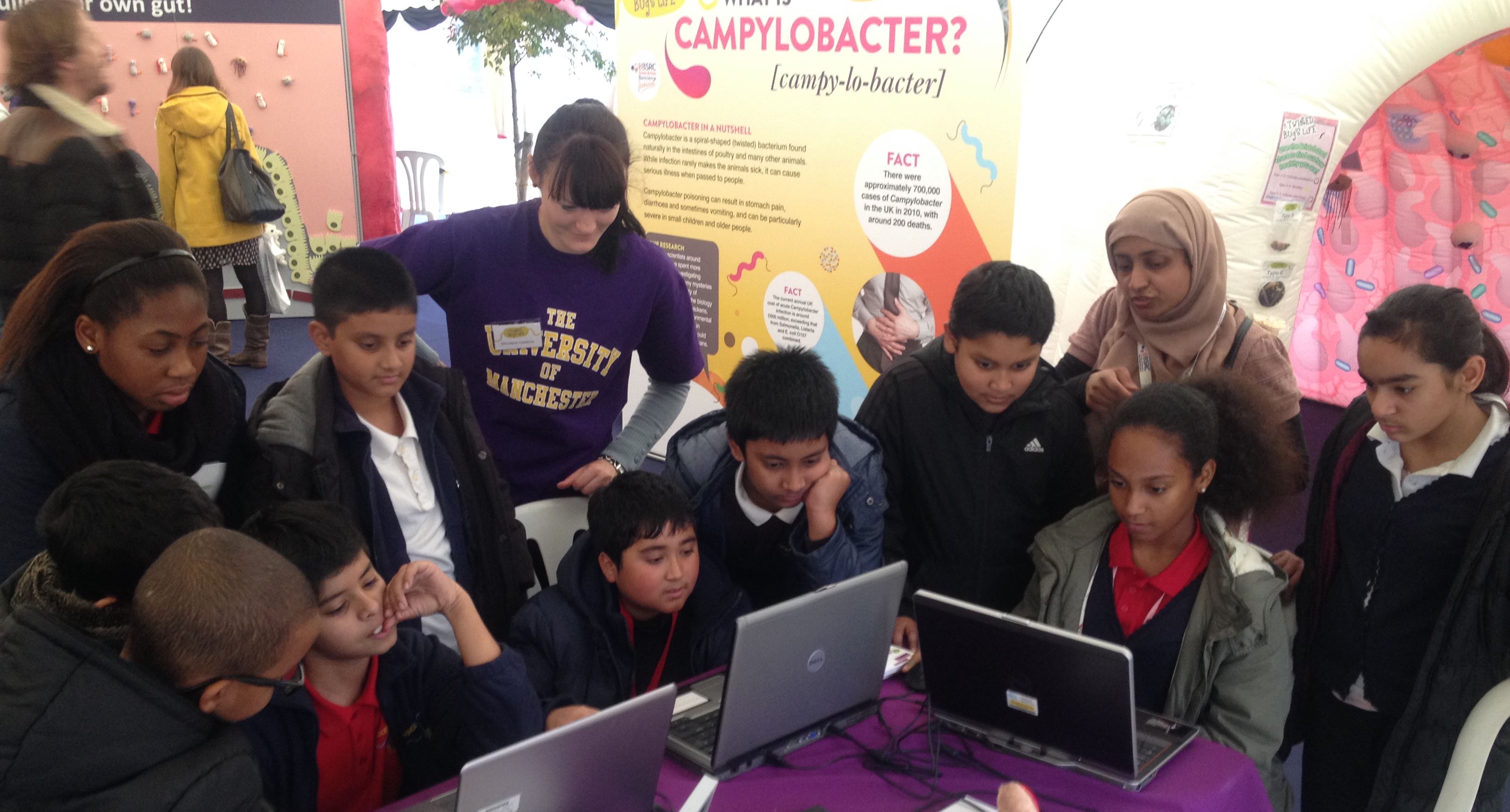 Pupils taking part in the food safety challenge